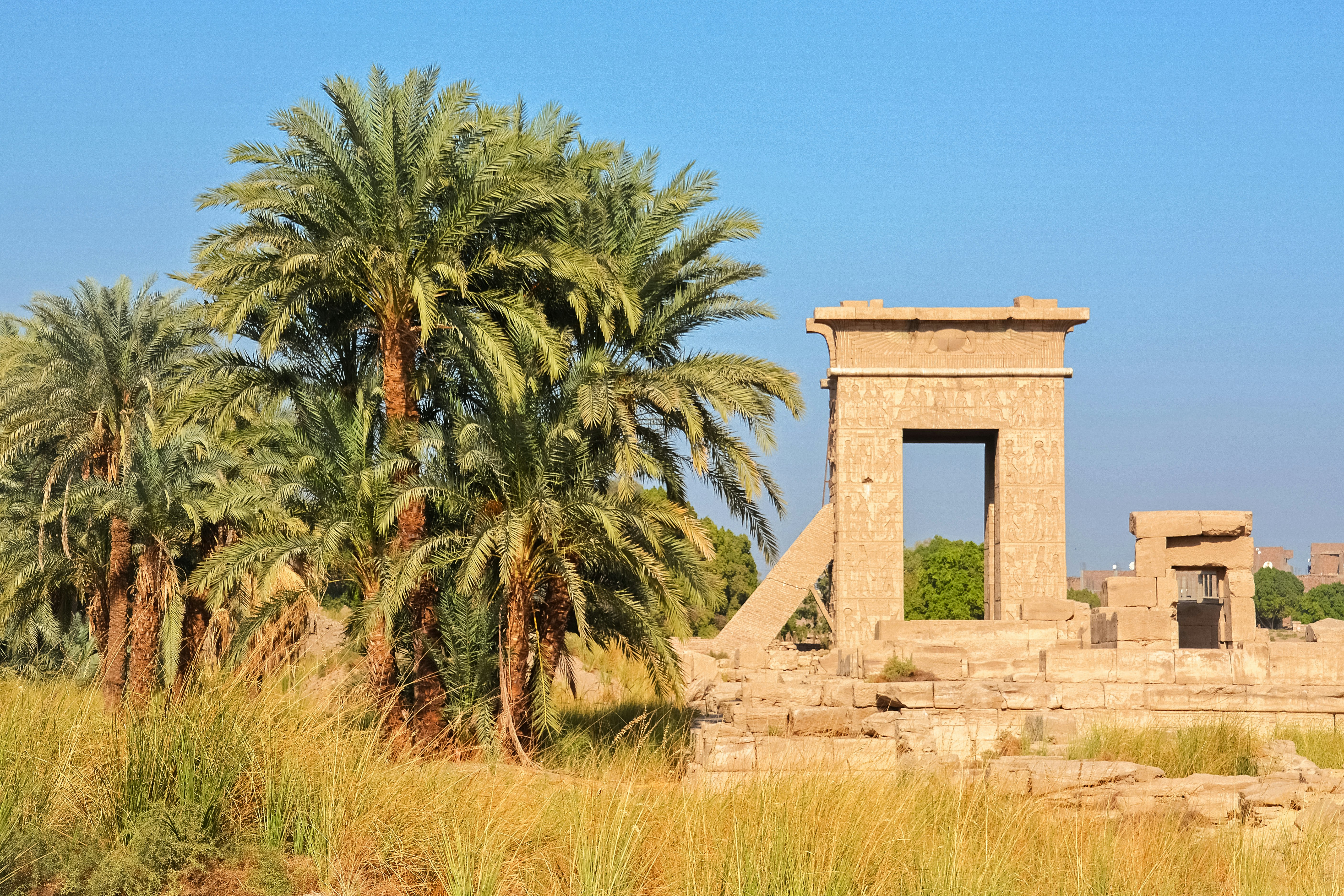 green palm trees under blue sky during daytime